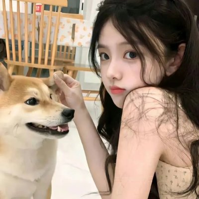 每况愈下 海报