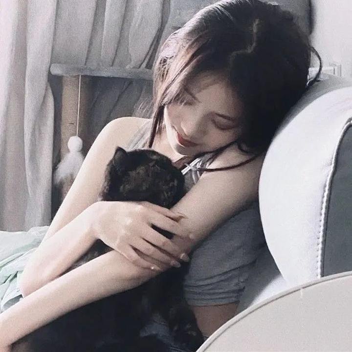 拿破仑一生 海报